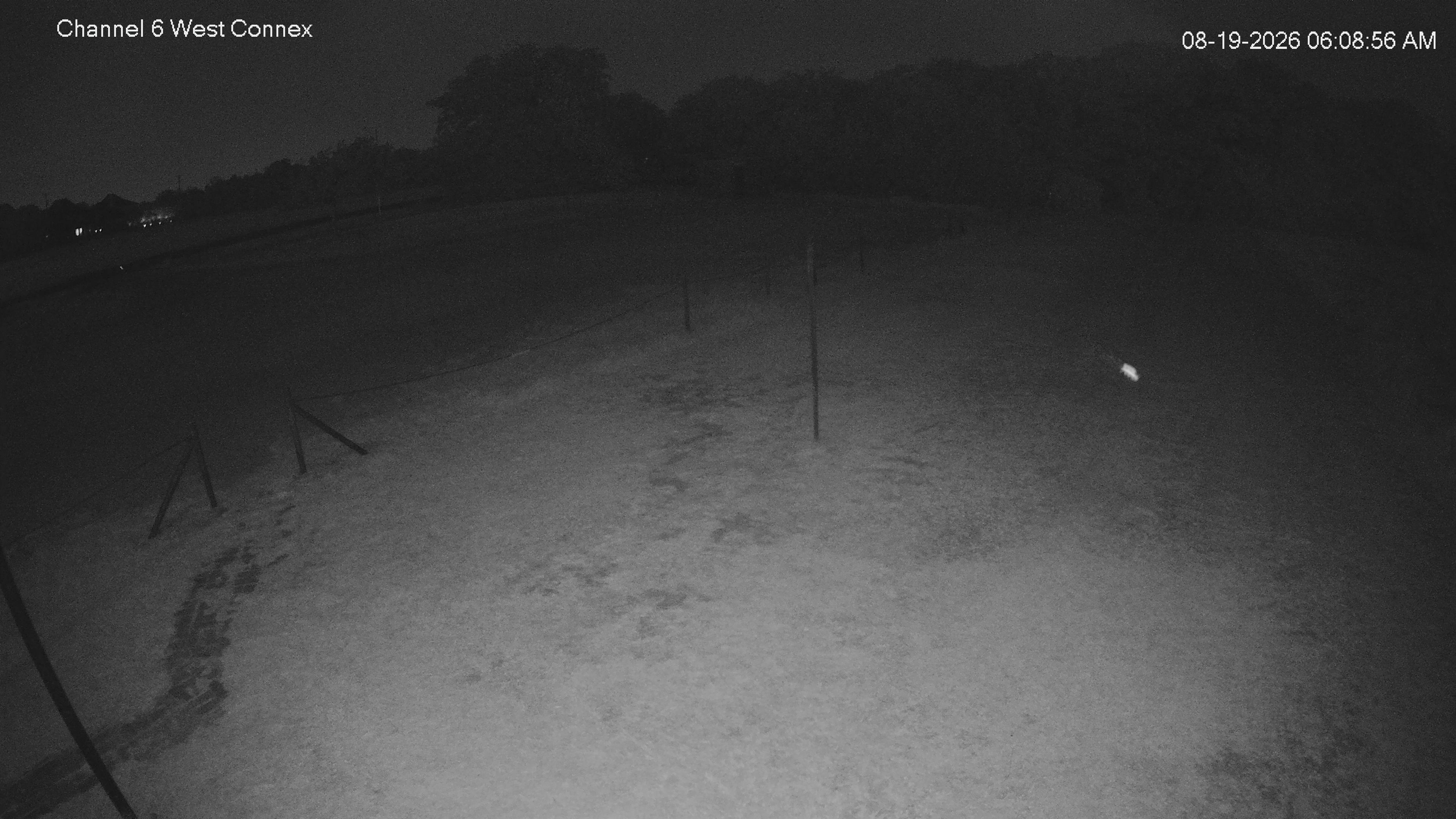 camera image